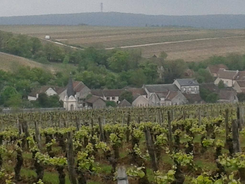 Le Clos Saint Martin Hotell Sancerre Eksteriør bilde