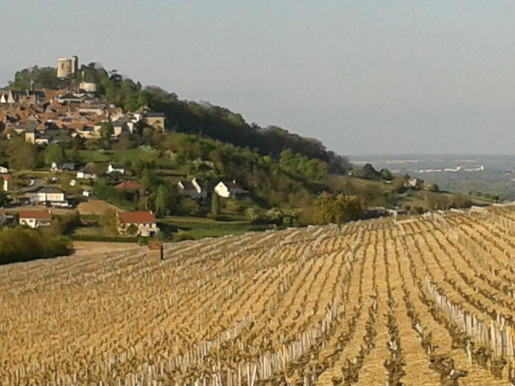 Le Clos Saint Martin Hotell Sancerre Eksteriør bilde